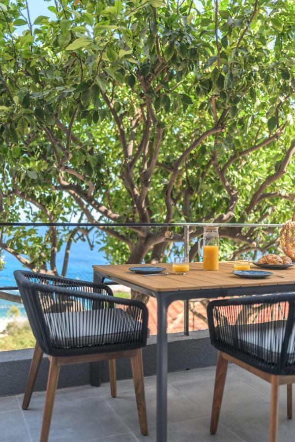 Proche Monaco, Vue Mer, Acces Et Jardin Privatif